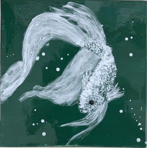 Siamese Fighting Fish XII