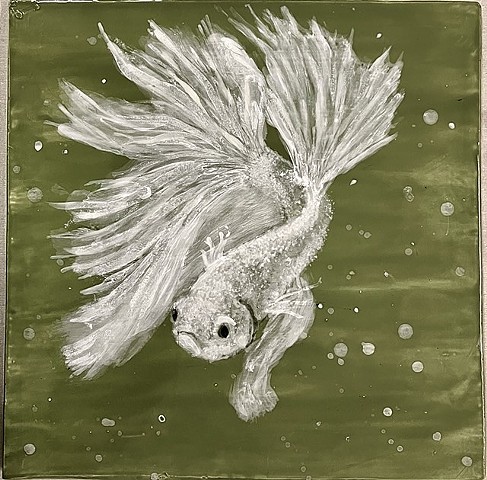 Siamese Fighting Fish IX