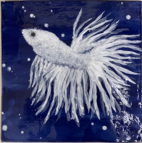 Siamese Fighting Fish XV