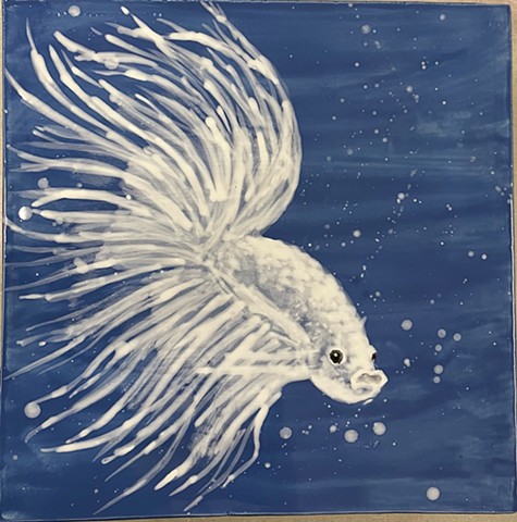 Siamese Fighting Fish I