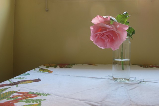 Rose in the Kitchen

