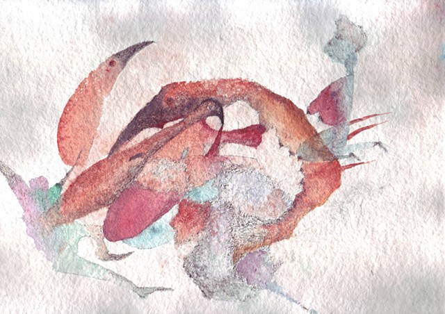 Lobster Birds (in progress), title c/o Kerry Cox