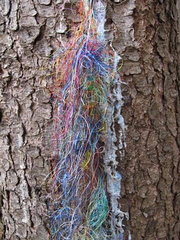 string and sap (detail)

