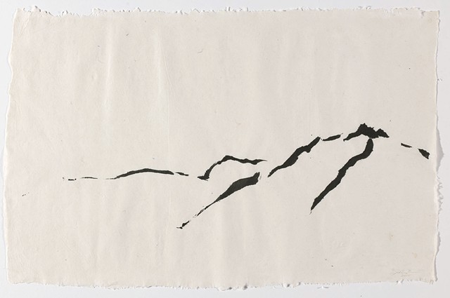Nr. 2010-D-0019