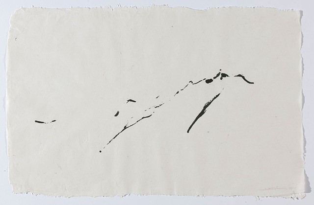 Nr. 2010-D-0008