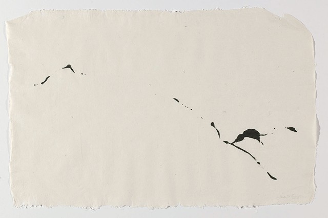 Nr. 2010-D-0009
