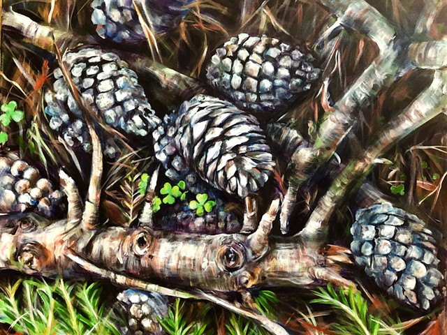 Pine Cones on the Forest Floor
