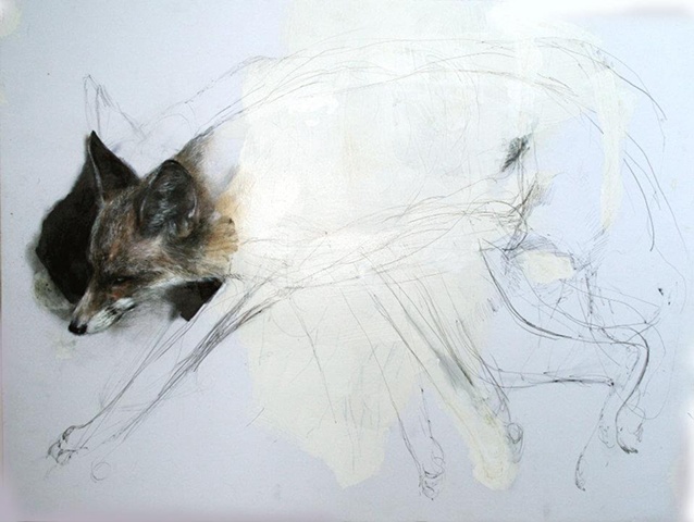 drawing, animals, fox, magical realism, contemporary, anti-narrative