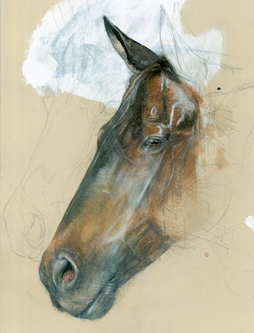 horse, drawing, contemporary realism, kentucky horses, equine art, contemporary drawing