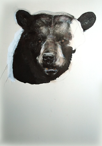 bear, drawing, contemporary drawing, realism