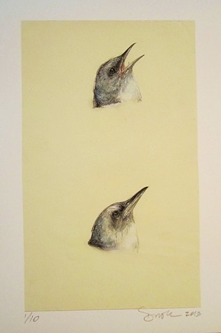 bird, animal drawing, bird drawing, realistic nature art, contemporary drawing
