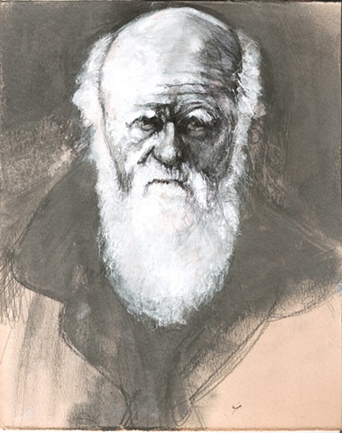 Illustrations for Charles Darwin article.