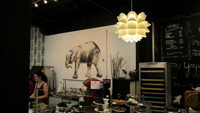 elephant drawing, elephant painting, cellar door chocolates, animal art