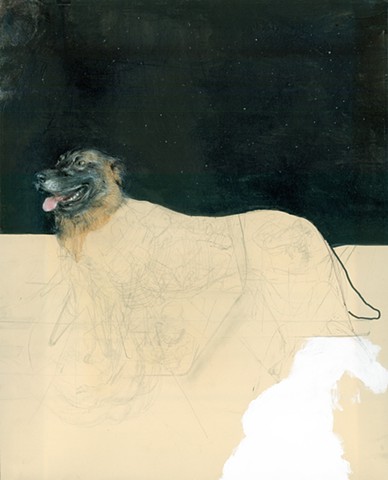 dog, contemporary, skeletal, postmodern, dog art, night sky