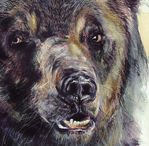 Bear (Detail)