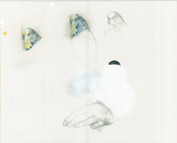 birds, hand, contemporary drawing