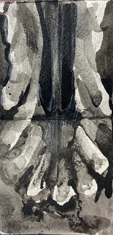Untitled (detail - cat teeth x-ray)