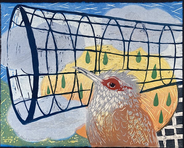 Pájaro de Lluvia / Rainbird 