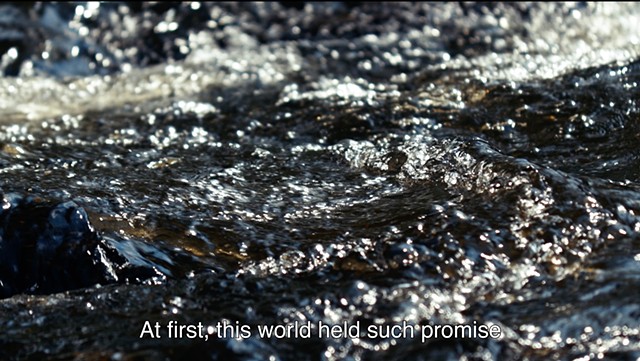 we thought we could live here