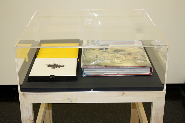 BookMare installation case.
Works by Helen Chadwick, et in arcadia, etched marble and drop back box. Damien Hirst, I Want to Spend the Rest of My Life Everywhere, with Everyone, One to One, Always, Forever, Now, (library copy).