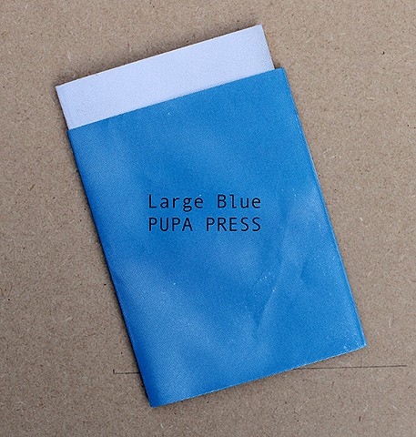 Finlay taklks about his book work, Large Blue for the Bristol Artists Book Event.
