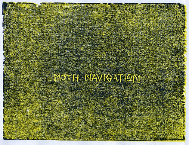 Moth Navigation