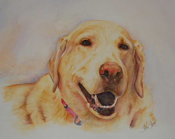 Watercolor, pet portrait, dog portrait, labrador portrait, Raleigh North Carolina