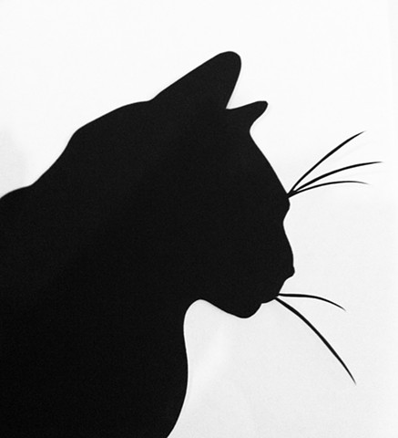 Cat silhouette