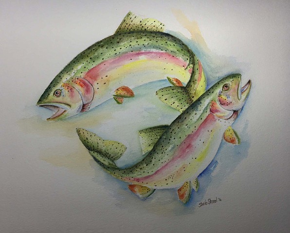 Rainbow Trout