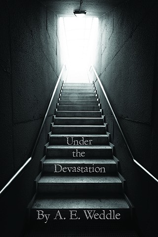 Under the Devastation
Book Cover