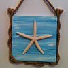 Morning Swells: Starfish relief with rope