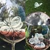 Butterfly wine glass collage