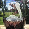 Pelican wine glass