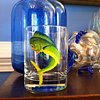 Game Fish rocks glass