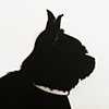 Dog silhouette