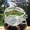 Crab wine glass