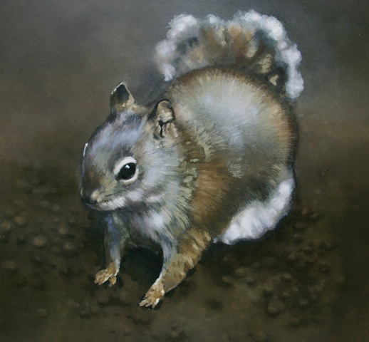 squirrel