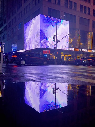 Times Square ZAZ Billboard Display Night Documentations