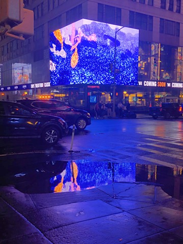 Times Square ZAZ Billboard Display Night Documentations