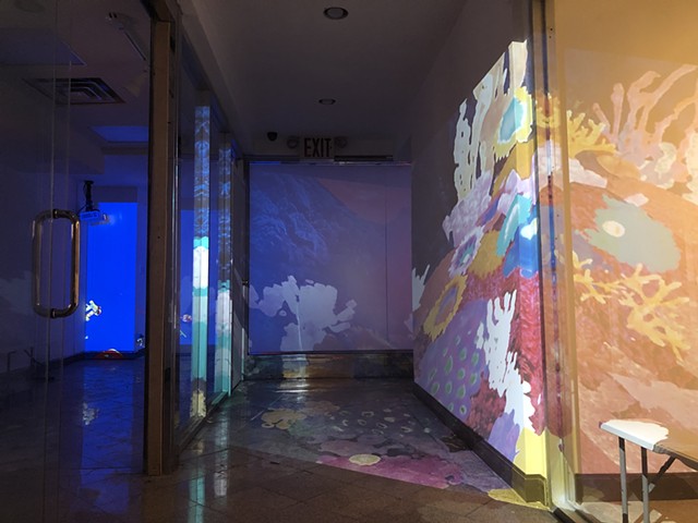 Liminality Liminoid Installation View
