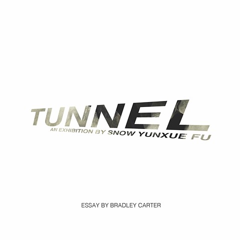 Tunnel, An Exhibition Text by Bradly Carter, Cover