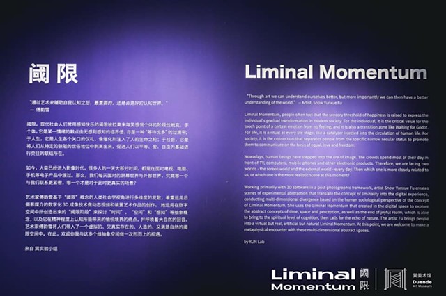 Liminal Momentum Install Photo 2