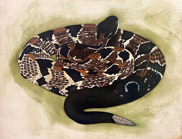 Gadsden's Snake