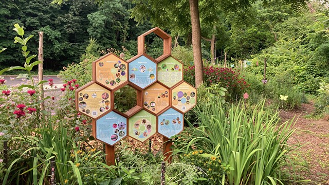 Hudson Valley Bee Habitat