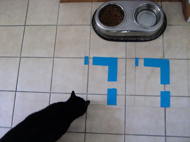 Dashed Line Tools in Use (Karma's Cat in Kitchen)