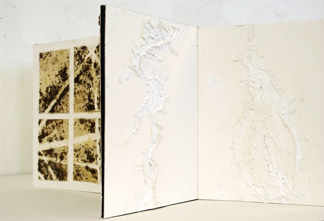 Danielle Rongey, Artist Inspired Book & Landscape (with Maya Lin), page 6