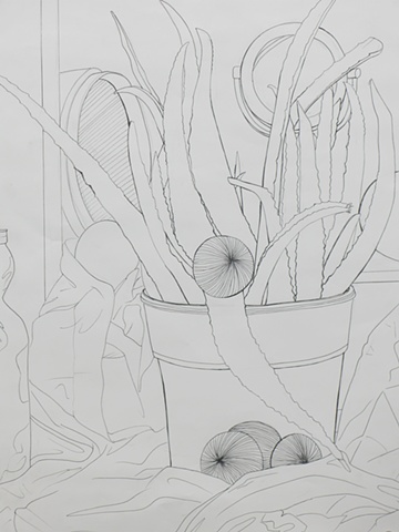 Lauren Skunta, Contour Line Still Life Exercise