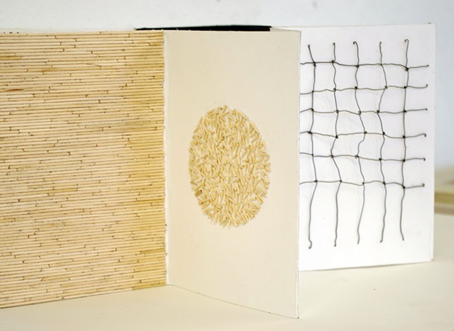 Danielle Rongey, Artist Inspired Book & Landscape (with Maya Lin), page 3