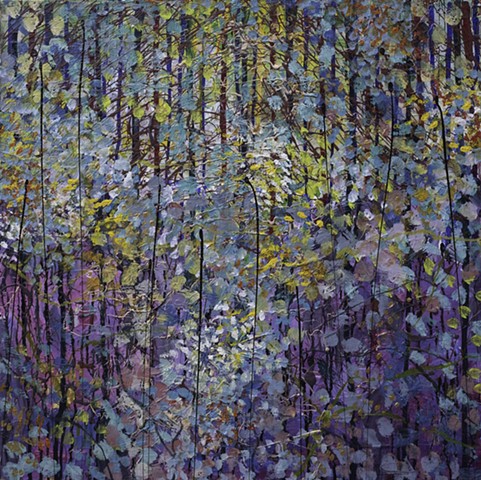 Forest Walk