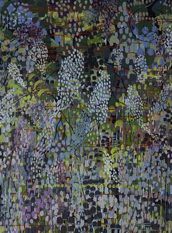Allium & Lupine